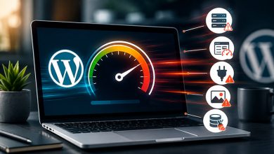 Počasna WordPress stran